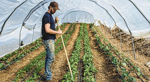 Προγράμματα κατάρτισης για νέους αγρότες - 1.465 δικαιούχοι στη Θεσσαλία